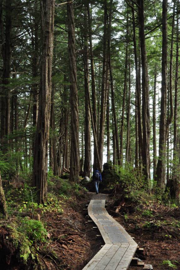 Caminhando na trilha de Metlakatla, na área de Prince Rupert, na British Columbia, oeste do Canadá